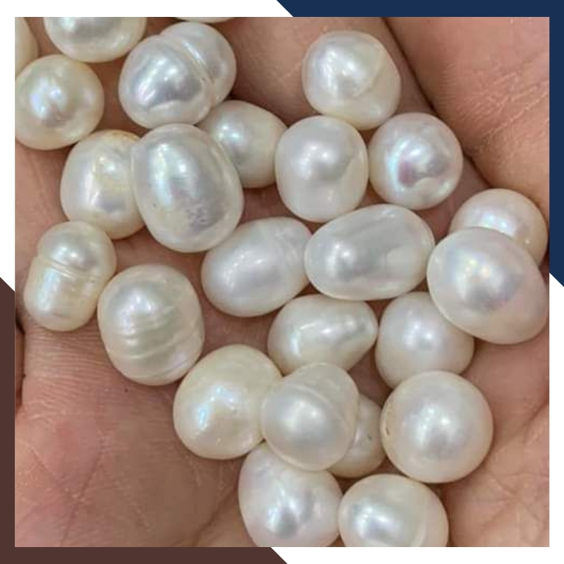 Ngọc trai hình thành như thế nào ?