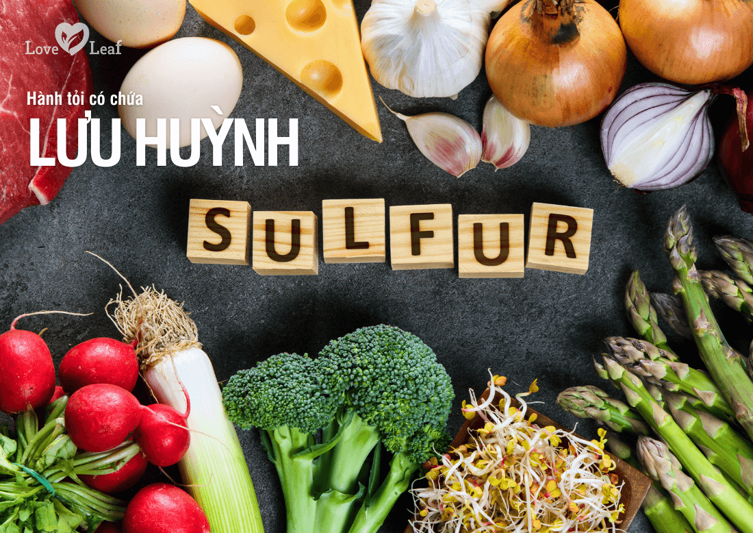 Hành tỏi có chứa lưu huỳnh gây hôi miệng