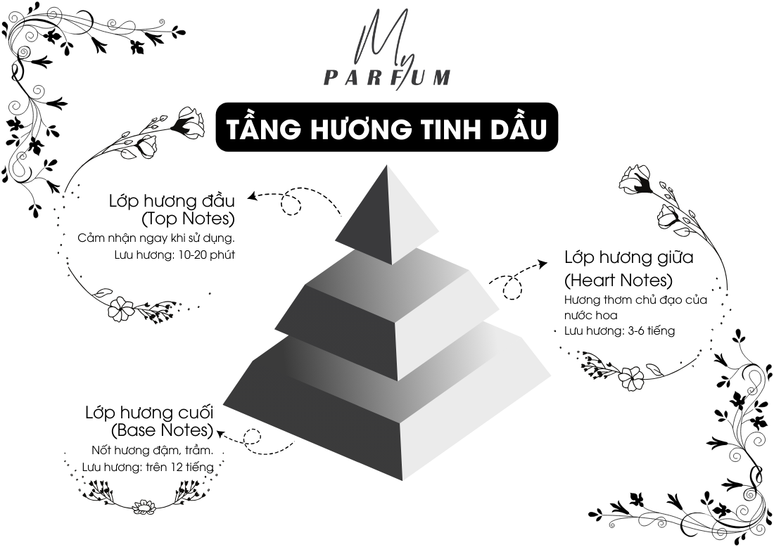 Tầng hương tinh dầu nước hoa