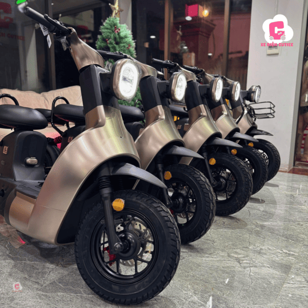 Các mẫu xe đạp điện giá 19 triệu ưa chuộng nhất 2025