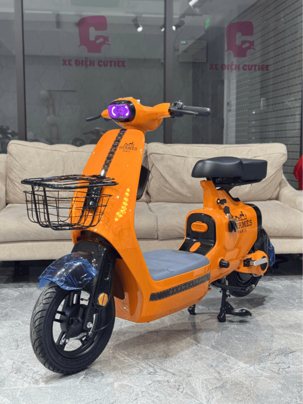 Các mẫu xe đạp điện giá 20 triệu hot nhất hiện nay