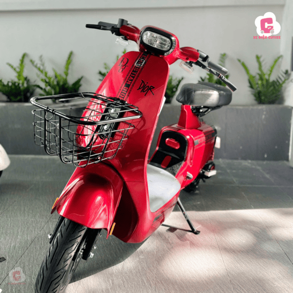 Các mẫu xe đạp điện nữ hot nhất năm nay