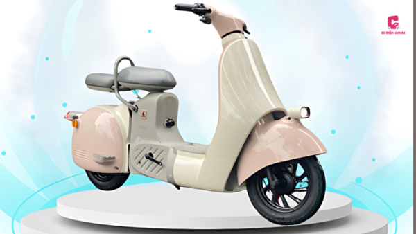 Mẫu xe đạp điện giá 17 triệu Dreaform Type 2 sở hữu thiết kế trẻ trung, năng động