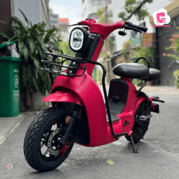 Mẫu xe đạp điện giá 20 triệu Type 2