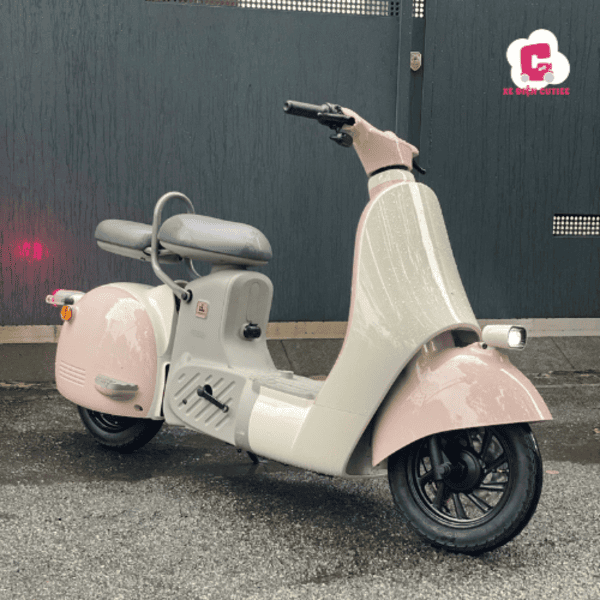 Xe đạp điện nữ Dreaform Type 2