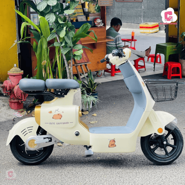 Mẫu xe đạp điện nữ VC 2025