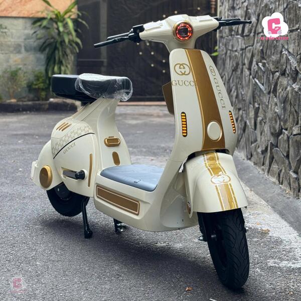 Mẫu xe đạp điện Lihaze Z3 hot nhất 2024