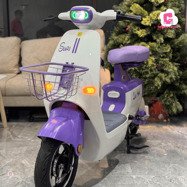 Xe đạp điện Hottrend K1