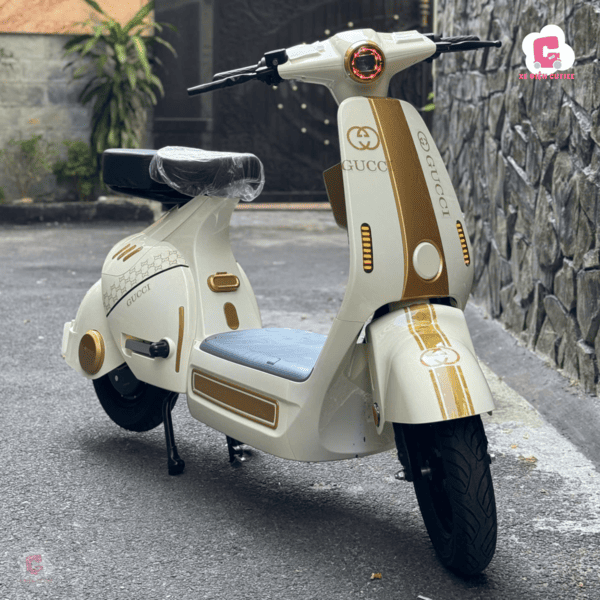 Các mẫu xe điện Lihaze tại Xe Điện Cute có thể được decor theo sở thích của mỗi người dùng