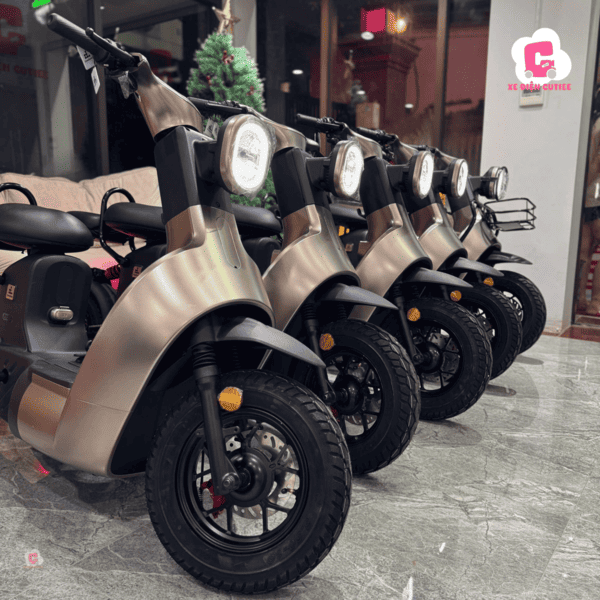 Địa chi mua xe điện giá 14 triệu chính hãng và uy tín