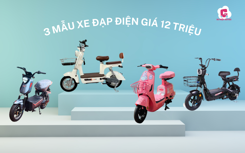 xe đạp điện giá 12 triệu