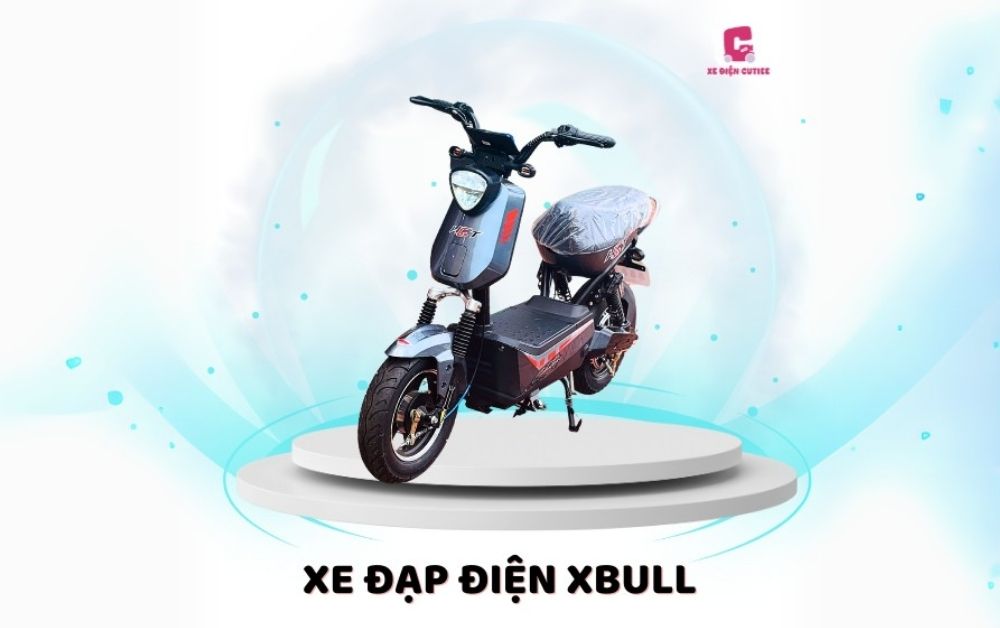 Xe đạp điện Xbull
