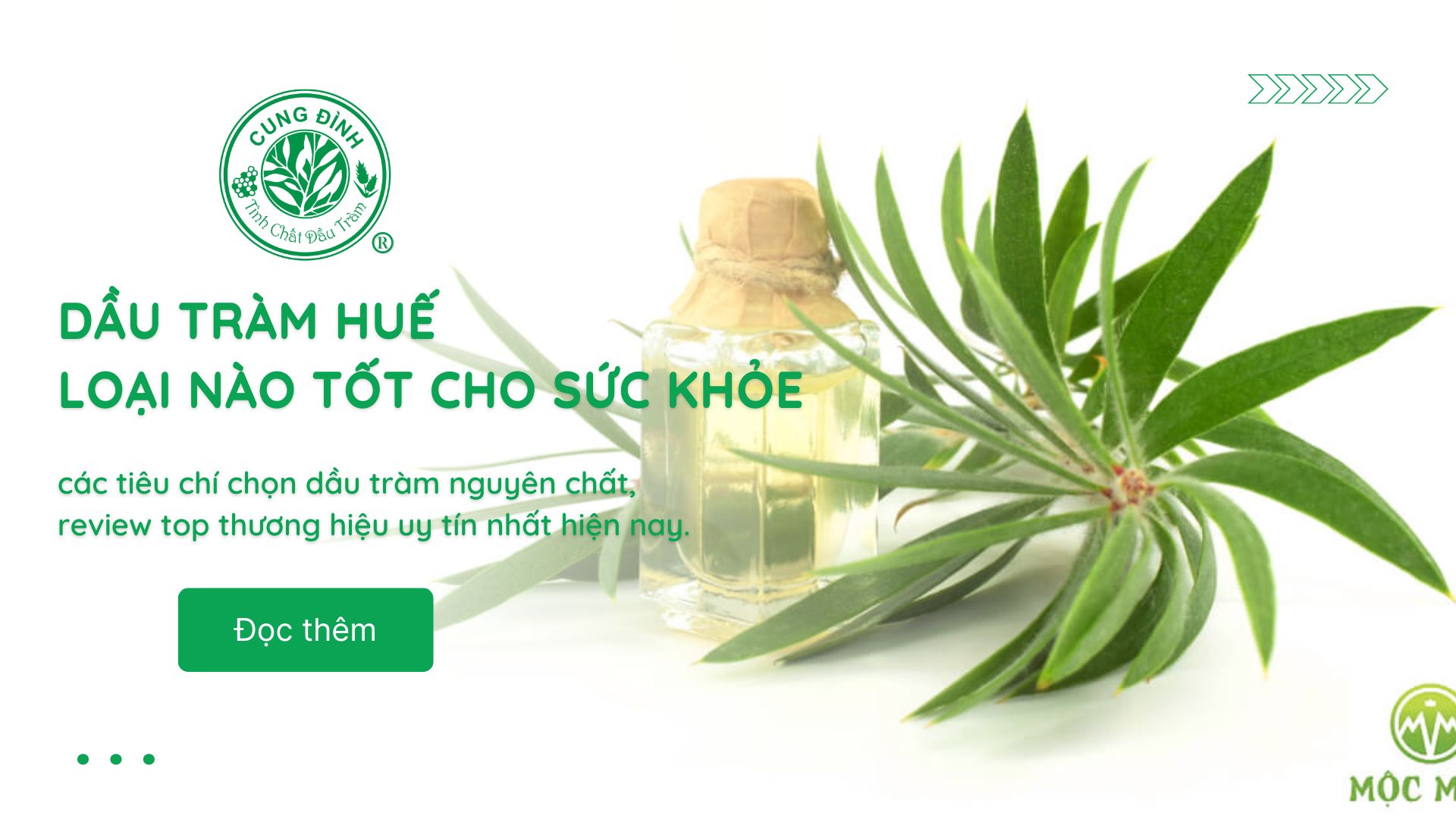 Dầu tràm loại nào tốt? Dầu tràm Cung Đình - Top thương hiệu uy tín