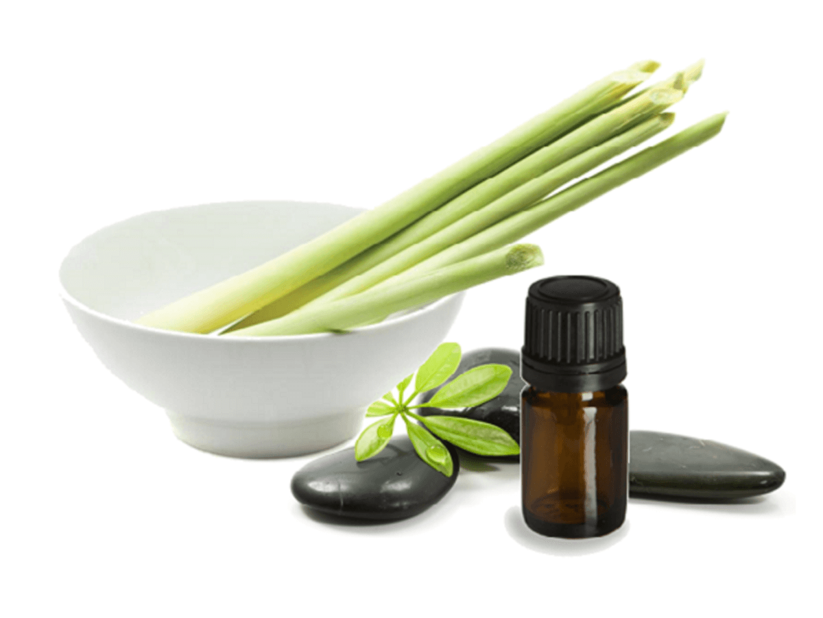 tinh-dau-xa-xong-phong