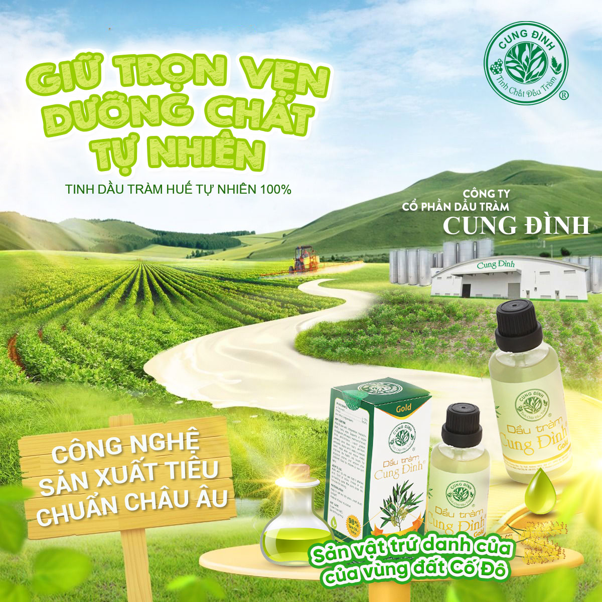 Dầu tràm Cung Đình chiết xuất 100% từ cây tràm gió