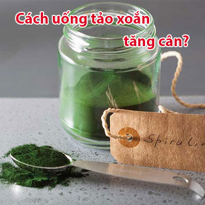 Cách uống tảo xoăn tăng cân an toàn hiệu quả
