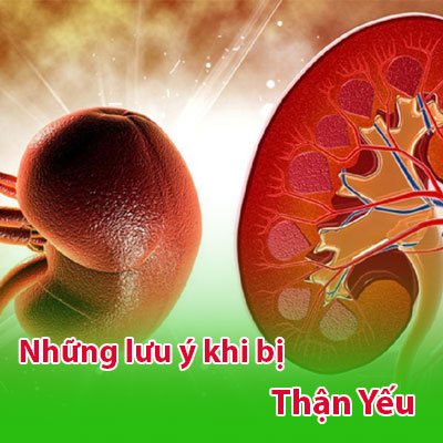 Những lưu ý khi bị thận yếu