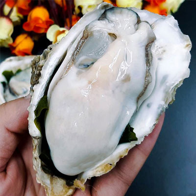 Cách chọn tinh chất hàu phù hợp sức khỏe