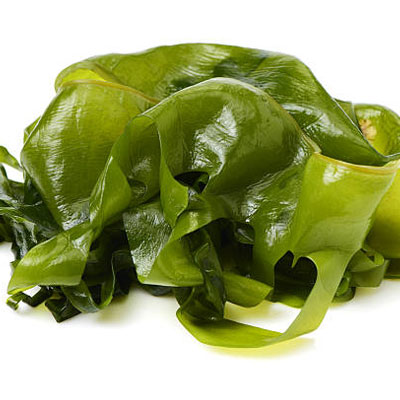 chức năng của tảo biển