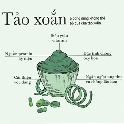 Tảo xoắn có hàm lượng spirulina nguyên chất nhiều hơn