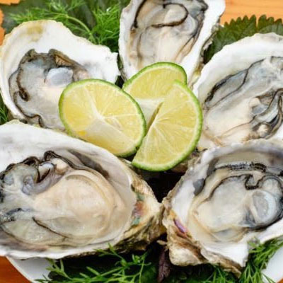 Những giá trị dinh dưỡng có trong hàu biển