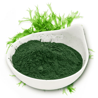 Giá trị dinh dưỡng có trong tảo xoắn nhật