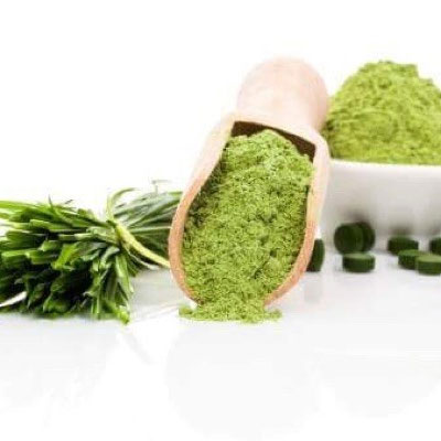 Bảo quản tảo xoắn nội địa nhật đúng cách