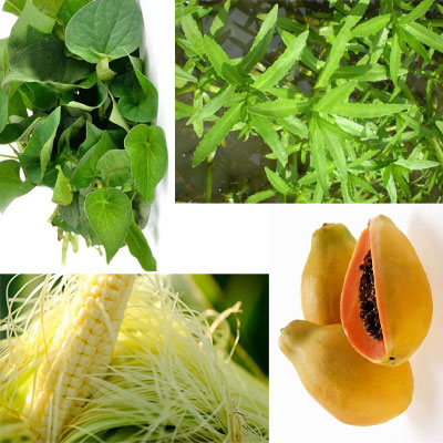 Một số bài thuốc hỗ trợ điều trị thận yếu tại nhà