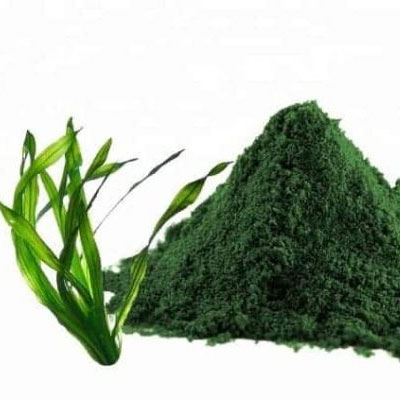 Những lợi ích mà tảo xoắn nhật bản mang lại cho con người