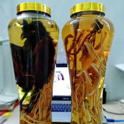 Rượu ngâm bìm bịp