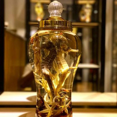 Bài thuốc rượu ngâm cá ngựa