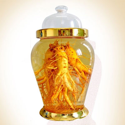 Rượu ngâm nhân sâm