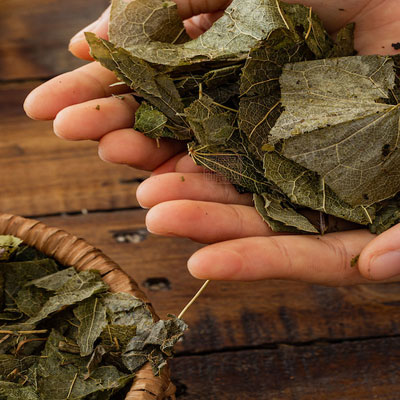 rượu ngâm dâm dương hoắc