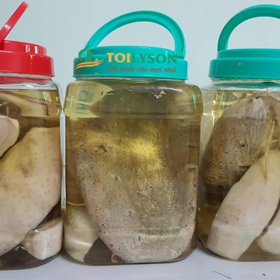 bài thuốc rượu ngâm hải sâm