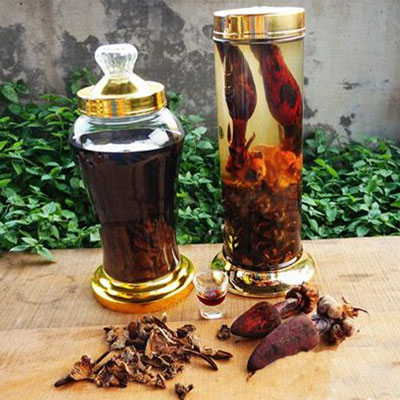 Bài thuốc rượu nấm ngọc cẩu
