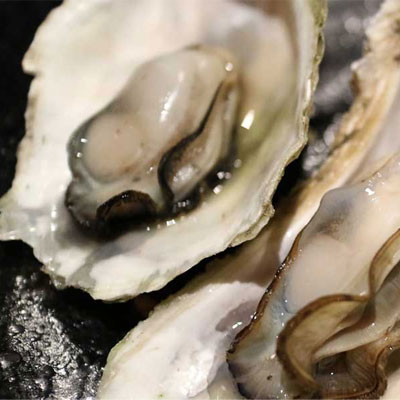 Sử dụng tinh chất hàu cần lưu ý những gì?