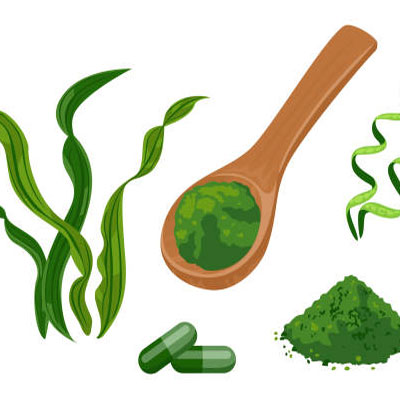 Tảo spirulina và các dưỡng chất cơ bản