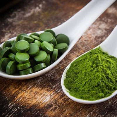 Tảo xoắn mang lại nhiều giá trị dinh dưỡng