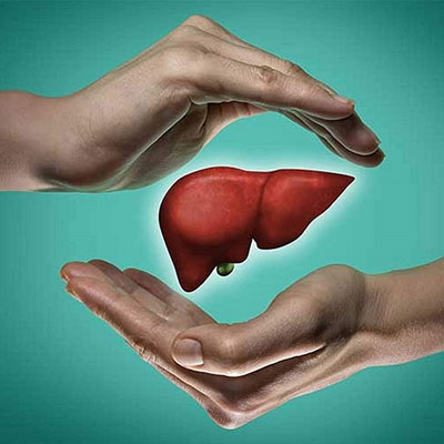 Tảo xoắn hỗ trợ cải thiện sức khỏe gan