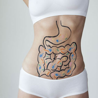 Tảo spirulina nhật bản hỗ trợ sức khỏe đường ruột