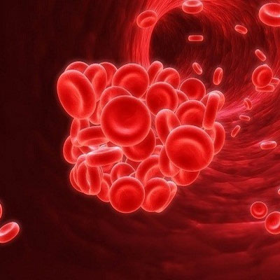 Tảo xoắn nhật hỗ trợ chứng thiếu máu