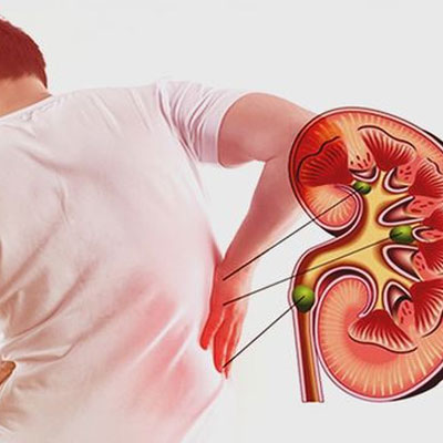 Tảo xoắn spirulina hỗ trợ cải thiện chức năng thận