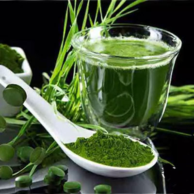 Tảo xoắn và tảo mặt trời đều lành tính, ít tác dụng phụ