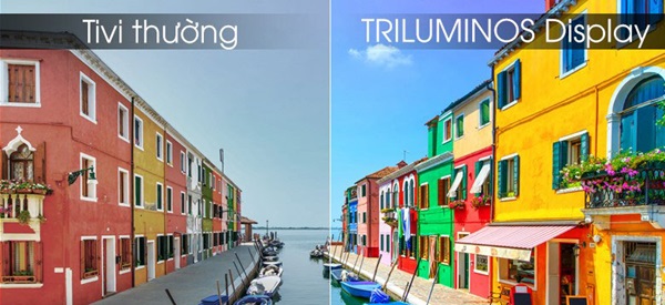 Công nghệ Triluminos Display™