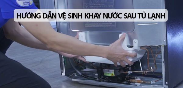 Hướng dẫn vệ sinh khay nước sau tủ lạnh