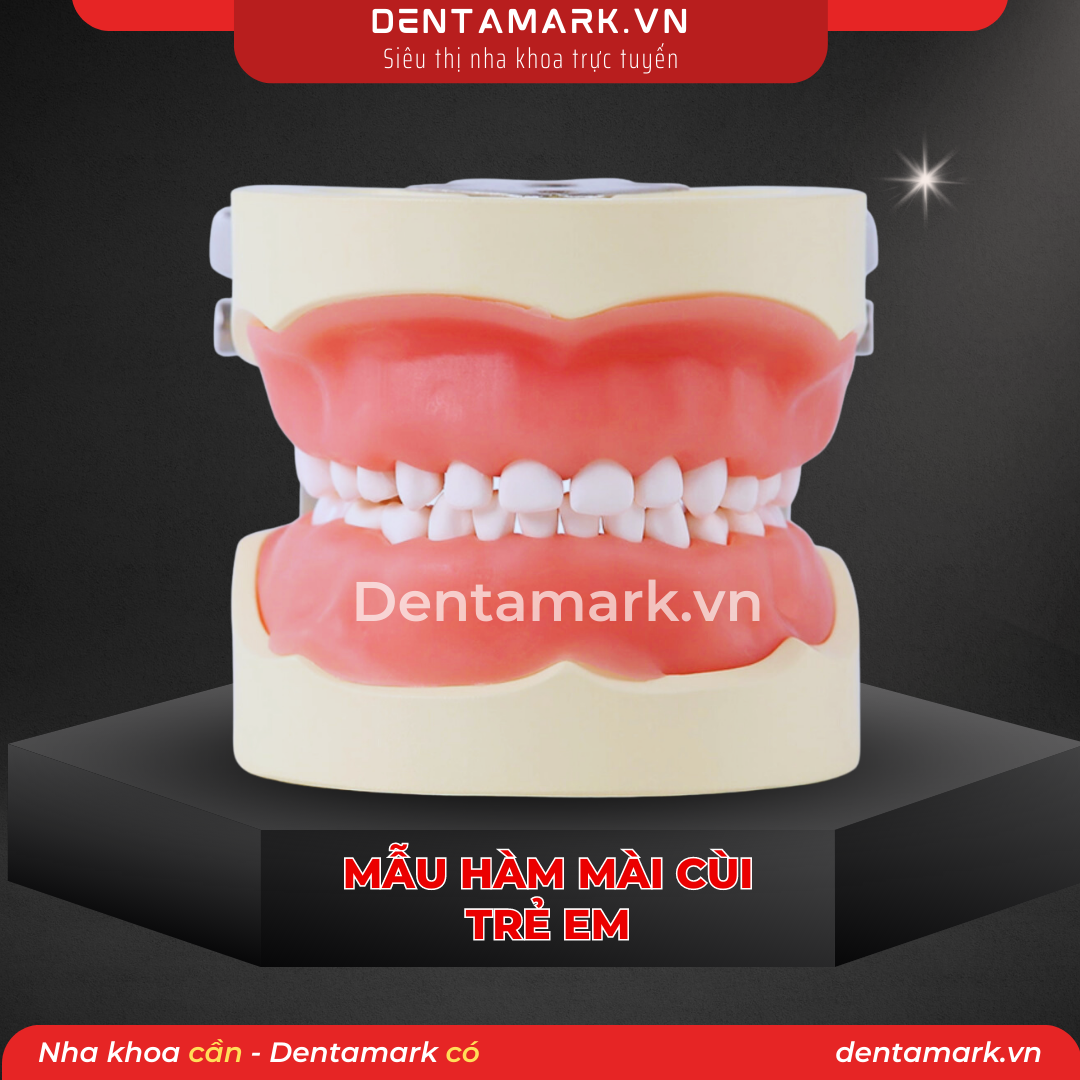 Mau ham tu van nha khoa, ham tu van benh nhan - Mau ham thuc hanh mai cui rang tre em, ham mai cui tre em (1)