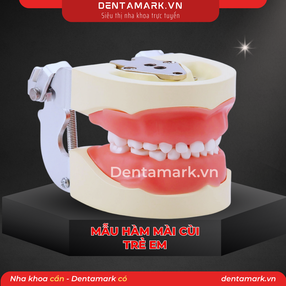 Mau ham tu van nha khoa, ham tu van benh nhan - Mau ham thuc hanh mai cui rang tre em, ham mai cui tre em (1)