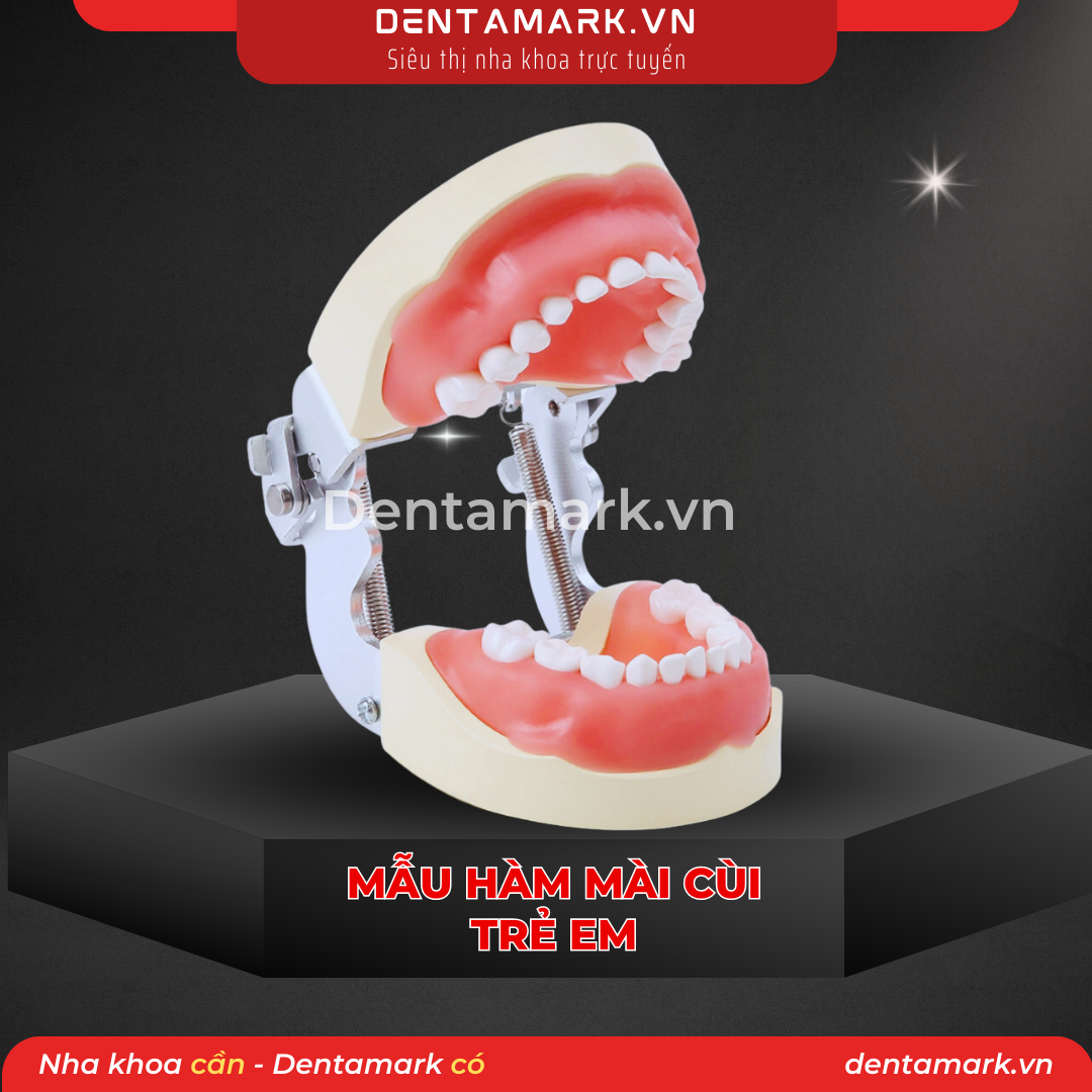 Mau ham tu van nha khoa, ham tu van benh nhan - Mau ham thuc hanh mai cui rang tre em, ham mai cui tre em (1)