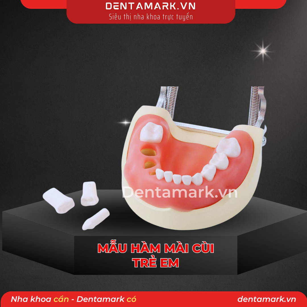 Mau ham tu van nha khoa, ham tu van benh nhan - Mau ham thuc hanh mai cui rang tre em, ham mai cui tre em (1)