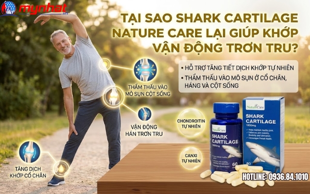 Tại sao Shark Cartilage Nature Care lại giúp khớp vận động trơn tru